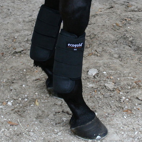 horse eventing boots