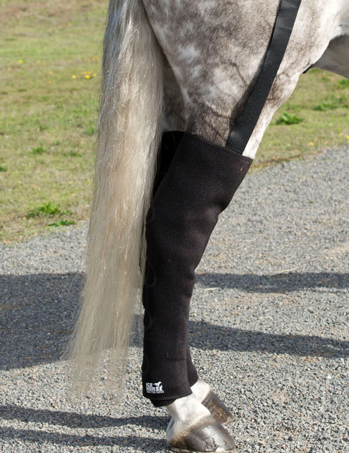 horse wraps and boots