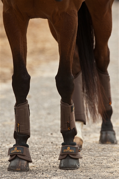 Kentucky Eventing Boots by Kentucky Horsewear with Strike Guards