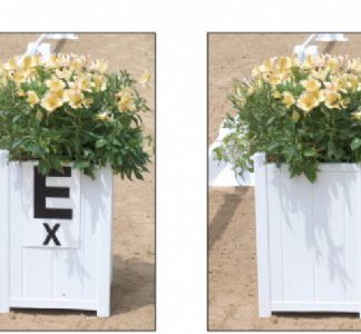 Arena Flower Box