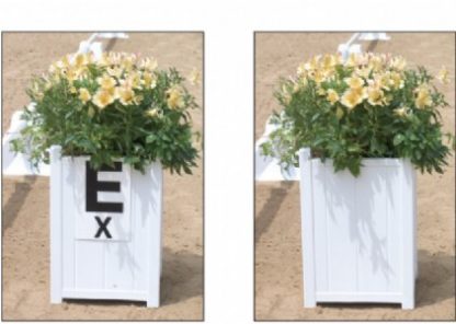 Arena Flower Box