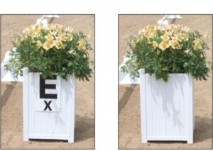 dressage arena letter boxes