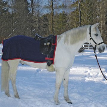 Quarter Sheets and Exercise Blankets for Horses