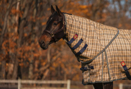 Baker Extreme Turnout Blanket with Removable Neck