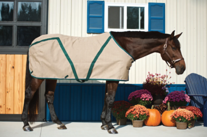 lightweight stable sheet saratoga