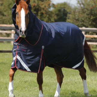 medium weight turnout blanket