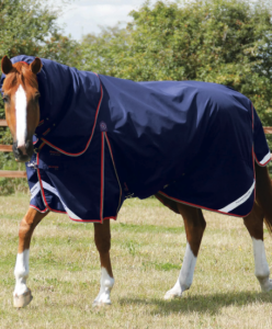 Buster 50g Turnout Blanket with Detachable Neck Cover