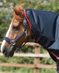 buster well fitting horse blanket with neck